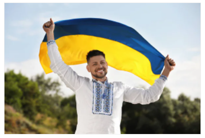 red round fruits on green tree during daytime