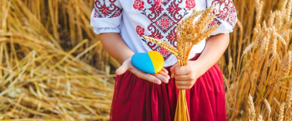 red round fruits on green leaves